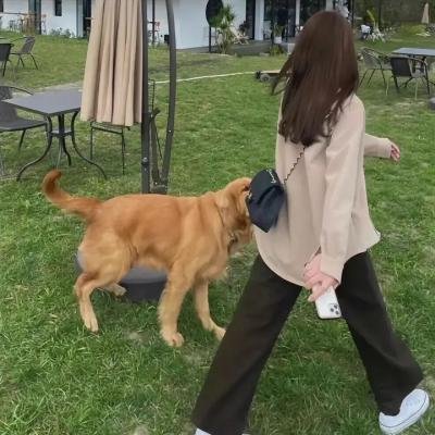 阴暗家族